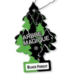 arbre magique black forest
